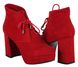Жіночі черевики на підборах Lottini 2764 розмір 38 в Україні