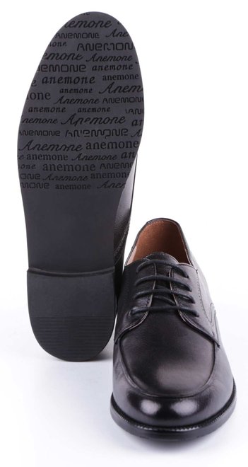 Женские туфли на низком ходу Anemone 19924, Черный, 36, 2999860277838